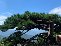 -罗田薄刀峰风景区