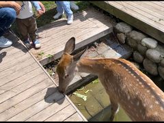 -前小桔亲子创意农场·草莓采摘·露营烧烤