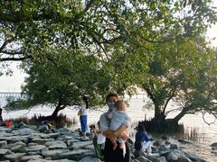 -宝安西湾红树林湿地公园