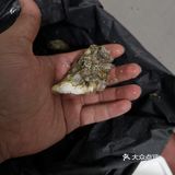 蒜蓉蒸生蚝！教你制作百搭蒜蓉酱！
