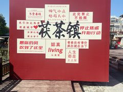 -茯茶镇