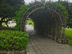 -红花山公园
