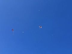 -新竹里馆·花园餐厅(兴苑路店)