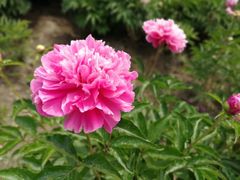 -长春公园(普阳街道)