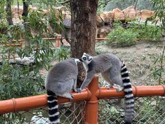 -北京野生动物园