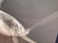 -爱侣宠医·鹦鹉专科·小型哺乳类·异宠专科(灵石路店)