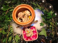-地球美食剧场