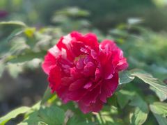 -狼山风景名胜区