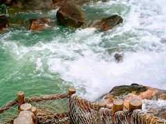 -广州白江湖森林公园