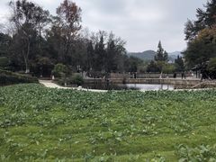 -韶山毛泽东同志故居