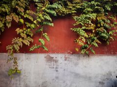 -天宁寺