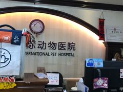 -宠爱国际动物医院·消化内科·心肾内科·ISFM猫友好(望京店)