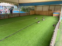 -萌宠亲子动物乐园(槐房万达店)