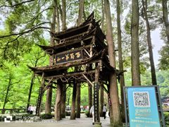 -青城山
