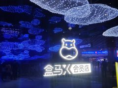 -盒马X会员店(上海森兰商都店)