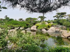 -罗红摄影艺术馆