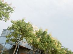 -上海智力产业园