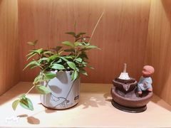 -左悦·艾灸调理·推拿按摩·精油SPA(卓悦汇店)