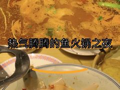 -老凯俚酸汤鱼(多彩城店)
