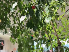 -榖屋house of flour(张江首店)