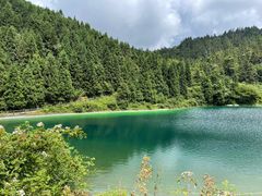 -武陵山森林公园