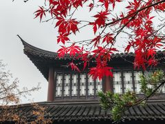 -莫愁湖公园
