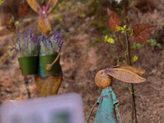 -云峰山自然风景区