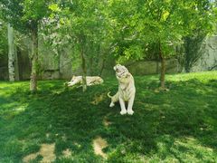 -北京野生动物园