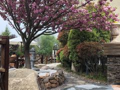 -芭东小镇温泉