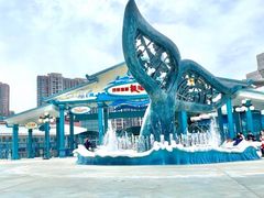 -海合安成都极地海洋公园