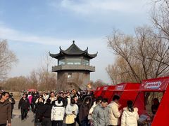 -盐城丹顶鹤湿地生态旅游区