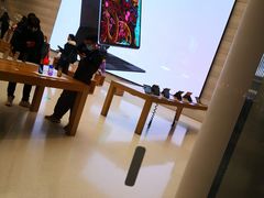-Apple零售店(济南恒隆广场店)