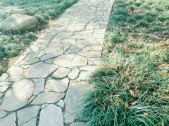 -白塘生态植物园