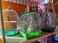 -廊坊固安福朋喜来登酒店