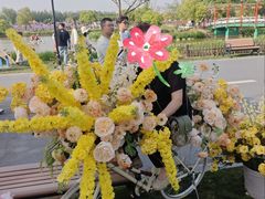 -荷兰花海