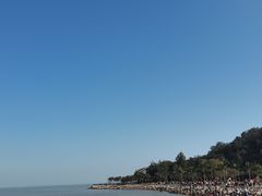 -野狸岛
