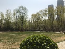 -昆泰酒店·会议咨询