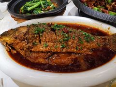 黄河大鲤鱼-老碗餐饮(前进路店)