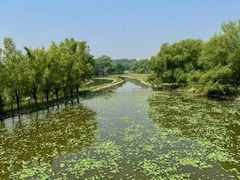 -北京麋鹿生态实验中心