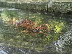 -水磨沟公园