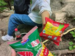 -王顺山国家森林公园