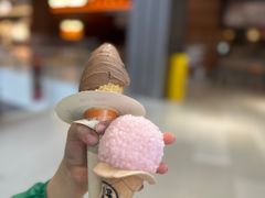 -野人先生现做冰淇淋(北京环宇荟店)