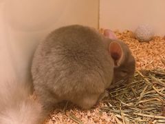 -龙猫仔乐园(惠福东路店)