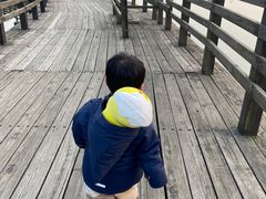 -苏州太湖国家湿地公园
