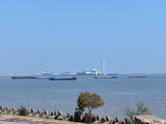 -上海滨江森林公园
