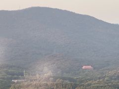 -南京维景国际大酒店(南京博物院店)