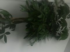 -鸡毛店·川菜(双楠店)