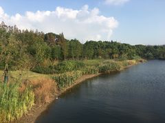 -上海长兴岛郊野公园