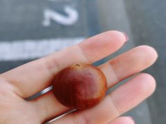 -秋栗香(地安门店)