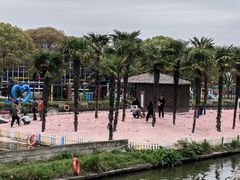 -苏州太湖西山岛开心农场